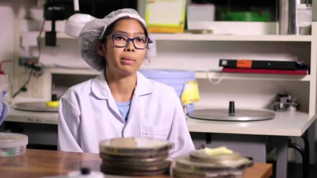 เมื่อฟิล์มมาถึงหอภาพยนตร์ When film arrives at the Film Archive ( Eng sub)