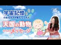 #17「感動」宇宙記憶のある9才が語った天国の動物たち