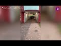 Bizarre moment driver gets stuck in Midlands subway before smashing up £25k vehicle