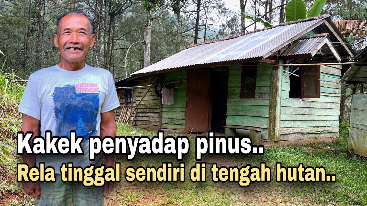 INI SIH BENERAN NEKAD..!! DEMI MENCARI NAFKAH, SEORANG KAKEK RELA TINGGAL SENDIRI DI TENGAH HUTAN.