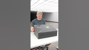 They Did It Again…(SOUND ON 🔉)