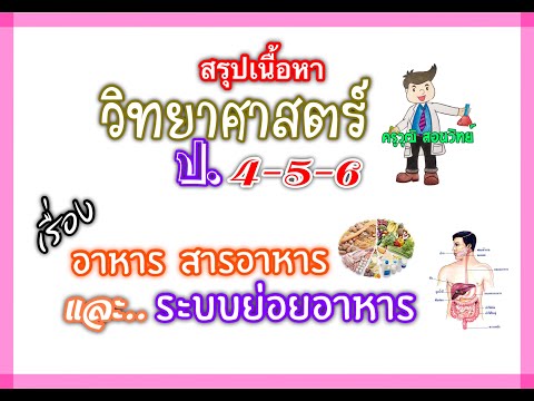 สรุปเนื้อหาวิทยาศาสตร์ ป.4-5-6 ||  .... เรื่อง อาหาร สารอาหาร และระบบย่อยอาหาร