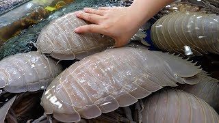 Collection de fruits de mer japonais et vietnamiens 2023