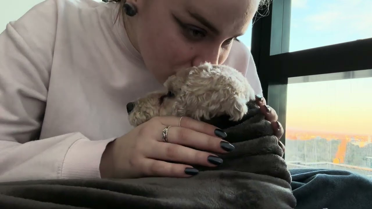 ASMR Lofi - shushing you to sleep