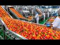 Tutti Frutti Factory Process | How Colorful Tutti Frutti Is Made