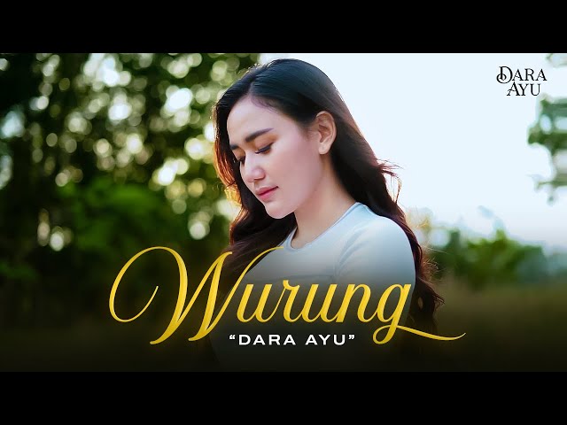 Dara Ayu - Wurung (Official Music Video) | Godonge jati tebluk nong lurung class=