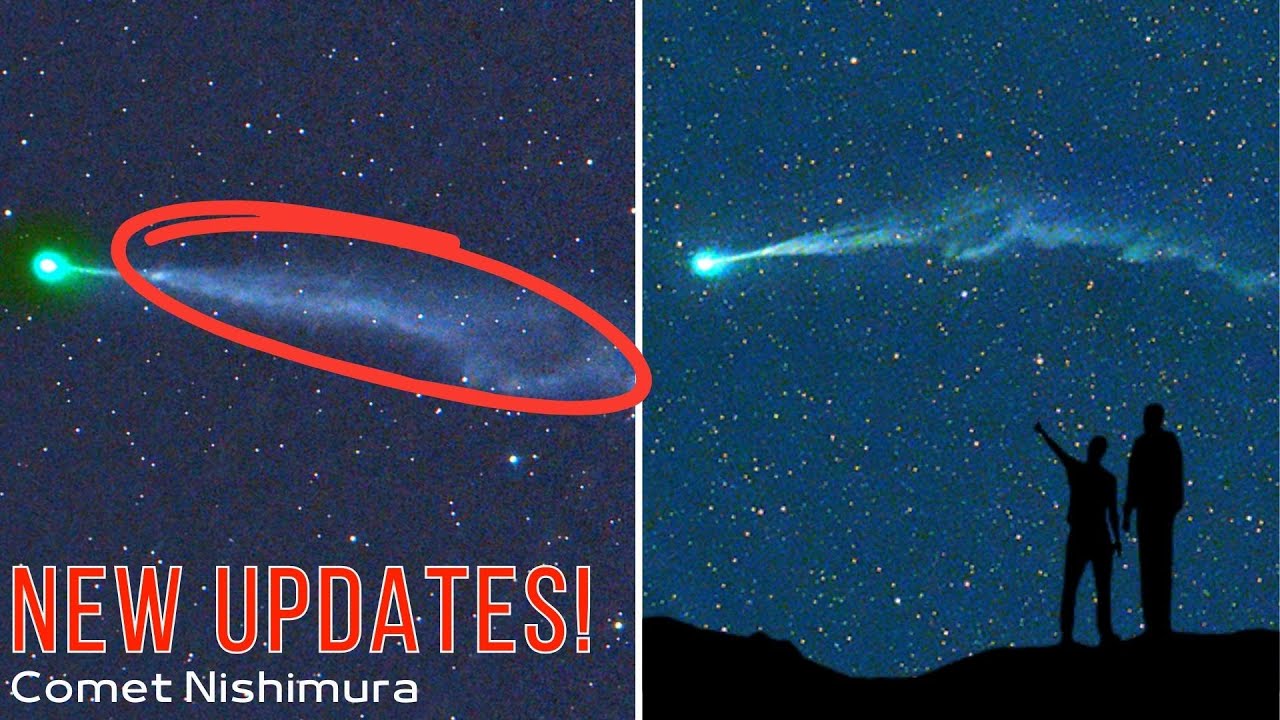 New Updates On Comet Nishimura Its Tail Got Blown Off By A Solar Storm 