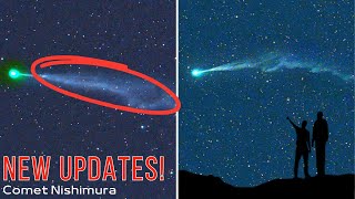 New Updates on Comet Nishimura, its tail got blown off by a solar storm, and It grew back! [Images]
