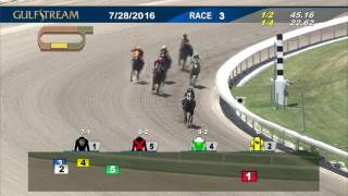 Gulfstream Park Race 3 | July 28, 2016