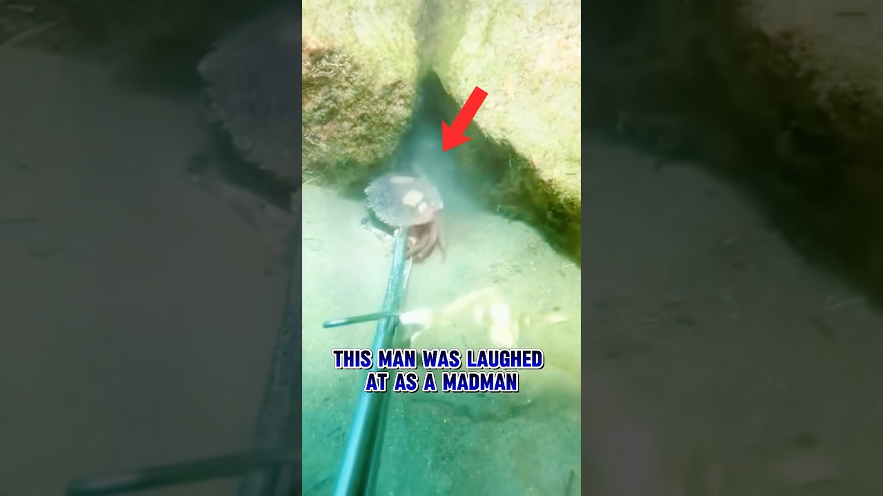 The love of two crabs