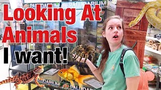 HUGE Reptile & Fish Store! Snakes, Tarantulas, Fish & More