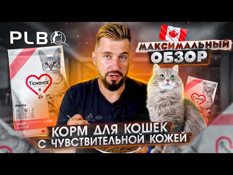 Корм 1st Choice derma | Кошачий корм для здоровья кожи и шерсти | Обзор на сухой корм для кошек