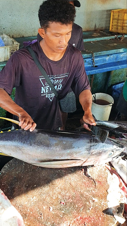 Amazing Cutting Skills #FishCutting #Tuna #Otoro #CuttingShow