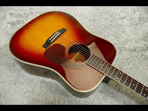1990's made MORRIS MD Dreadnought size seriesAcoustic Guitar MD