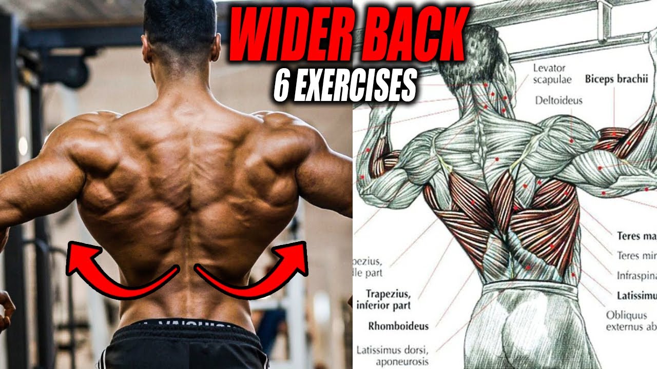 6 BEST EXERCISES TO GET A WIDER BACK💪 YouTube