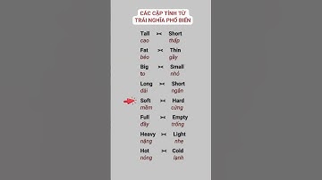 Cặp Từ Trái Nghĩa Trong Tiếng Anh Căn Bản Nhất