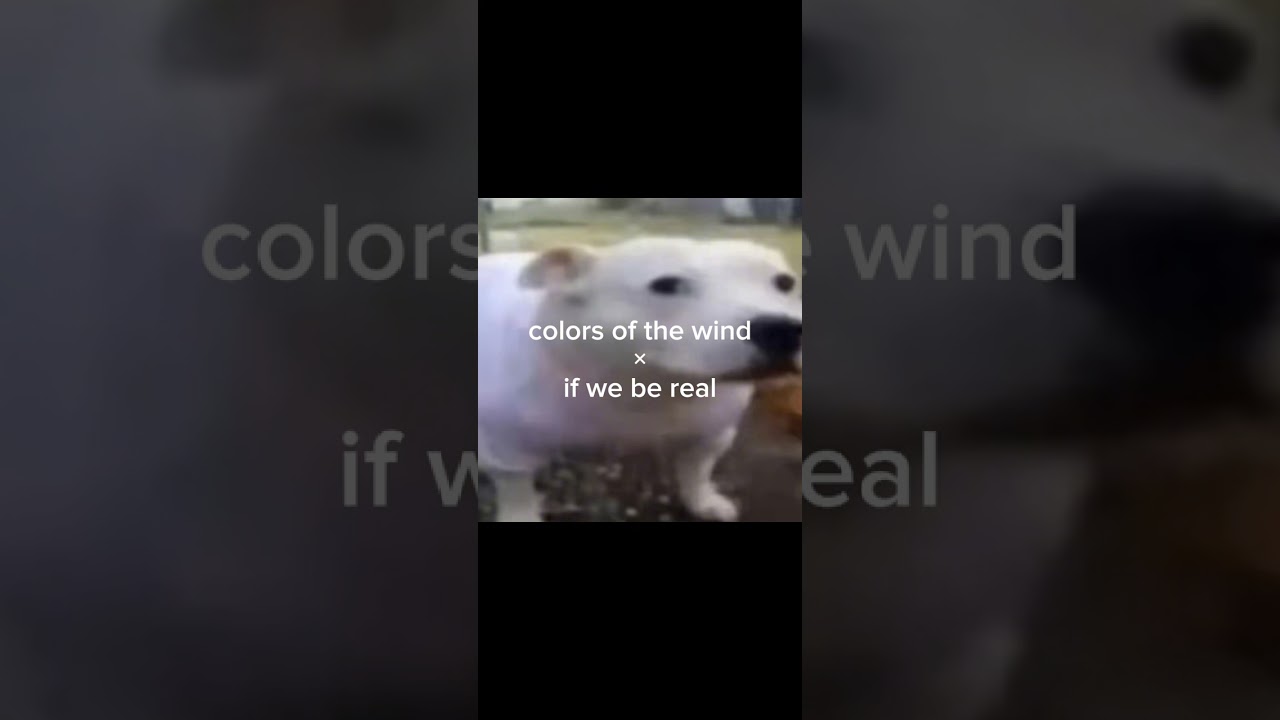 Colors of the Wind x If We Be Real