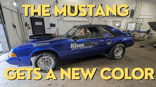 THE MUSTANG GETS A COLOR CHANGE! Kleen Whips Auto Detailing