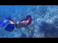 Snorkeling the Caribbean &#39;Corals Be Chilled maan&#39;