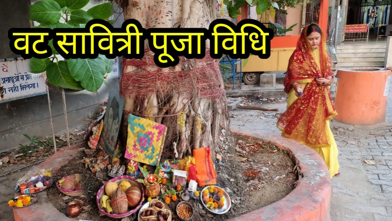 वट सावित्री पूजा 2025 !! वट वृक्ष के नीचे वट सावित्री पूजा कैसे करें संपूर्ण जानकारी !! बड़मावस पूजा