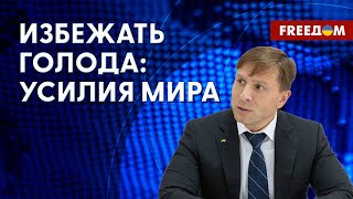 Экспорт украинского зерна. Продлят ли зерновое соглашение? Разбор от эксперта