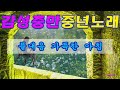40~60중년노래(싱그러운노래) "풀 내음 가득한 아침" #힐링음악 #중년음악 #서정적인음악 #감성BGM #카페음악 #4060중년음악 #집안일BGM #5060중년노래