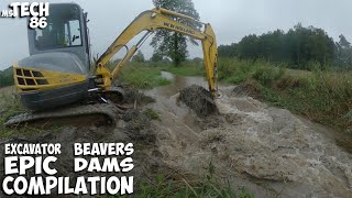 Excavator Vs Beavers Dams  Beaver Dam Removal With Excavator  Epic Compilation