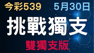 今彩539｜挑戰獨支｜少年狼539｜5月30日｜雙獨支版