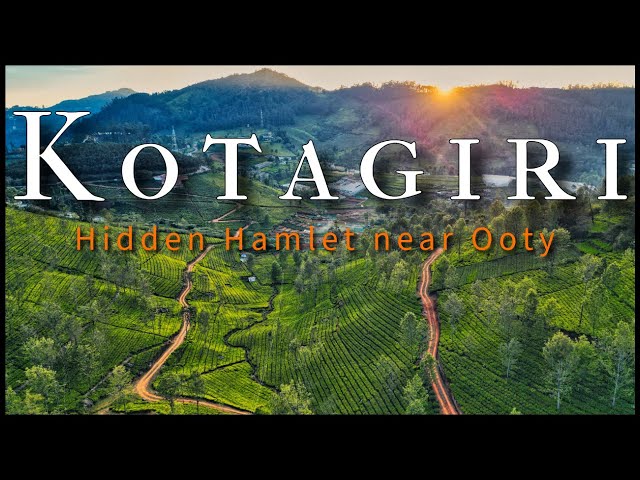 Mushuklarning fotosuratlarini korsatish Nina teleserialidagi yalangoch aktrisa