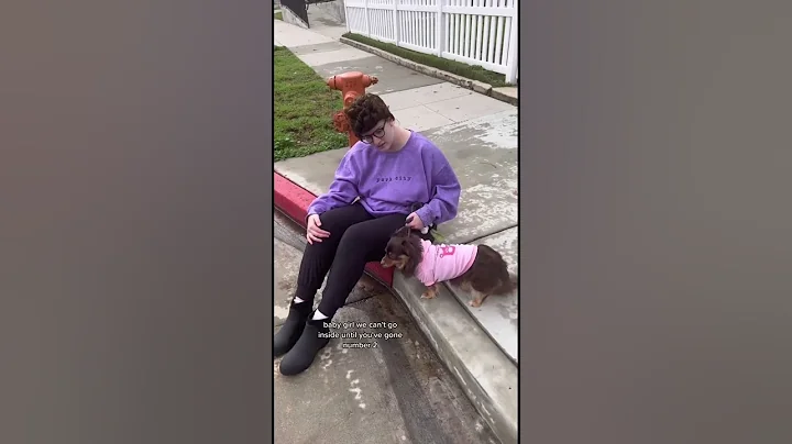 Your grandma takes her 200 year old dog out in the rain | Kendahl Landreth