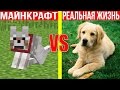 МАЙНКРАФТ ПРОТИВ РЕАЛЬНОЙ ЖИЗНИ 24 !  MINECRAFT VS REAL LIFE ! Мультик Майнкрафт