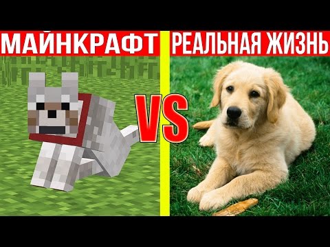 Видео: МАЙНКРАФТ ПРОТИВ РЕАЛЬНОЙ ЖИЗНИ 24 !  MINECRAFT VS REAL LIFE ! Мультик Майнкрафт