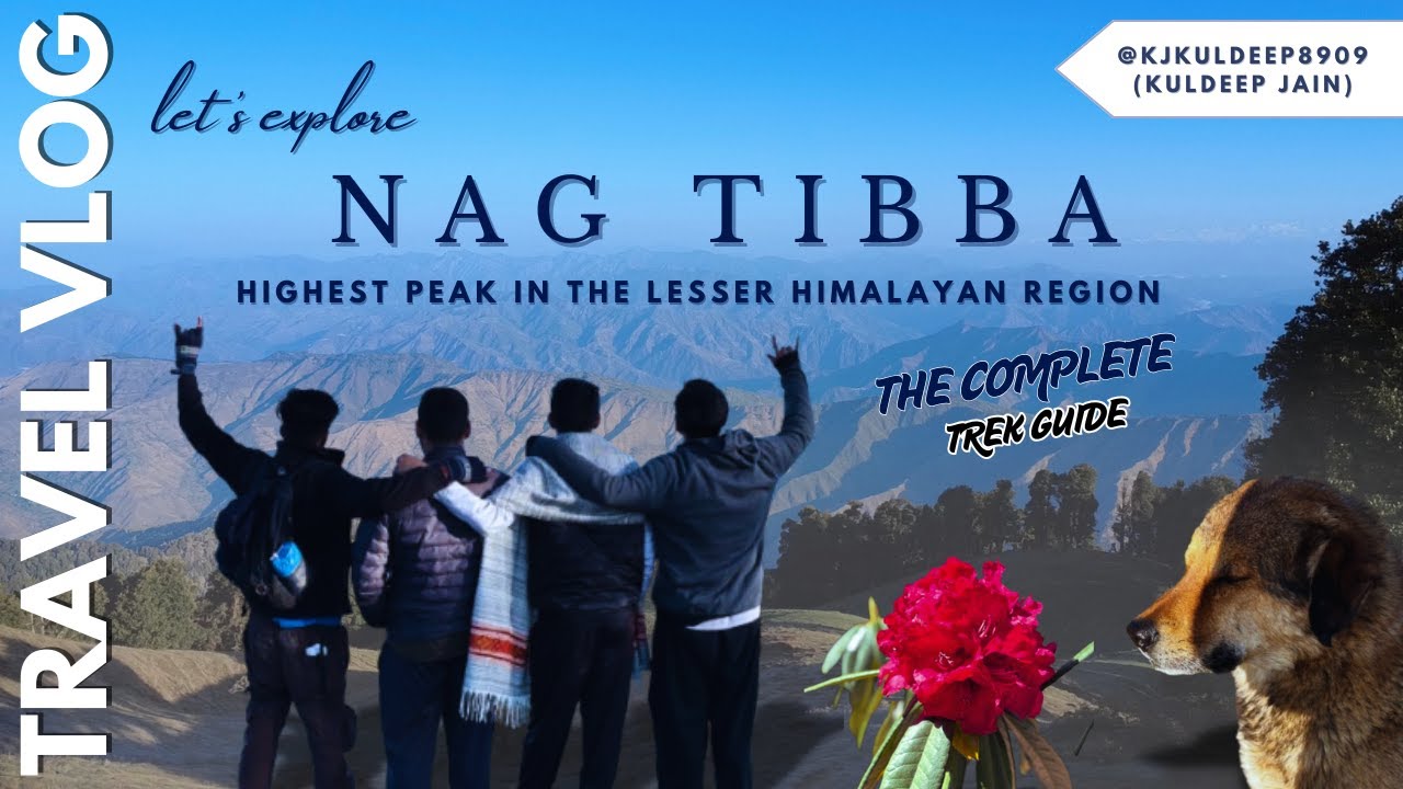 Nag Tibba Trek from Delhi in April 🏞️ || How to Reach, Stay, Food & Night Trek || Travel Guide ||
