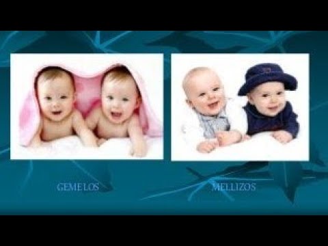 Video: ¿Cuál es la diferencia entre gemelos monocigóticos y dicigóticos?