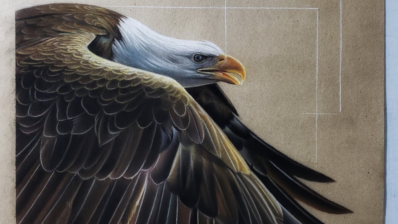 how to draw eagle wings - YouTube