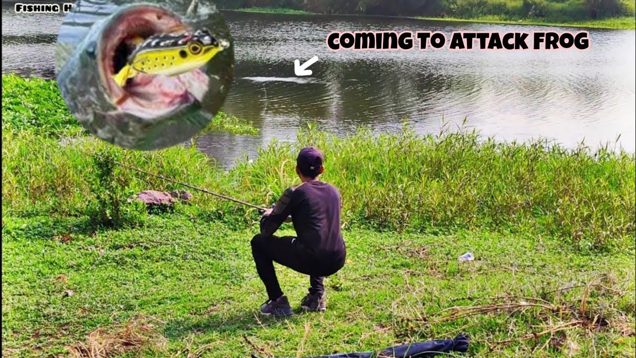 I save my Fishing Rod Today Luck By Chance snakehead Fishing | | 