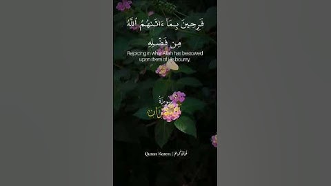 شيخ:محمد صديق المنشاوي💚🌿#اذكر_الله #قرآن #اكسبلور #تلاوة_خاشعة #المنشاوي #مصر #explore #quran #egypt