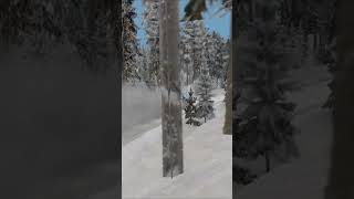 Mistake on snow