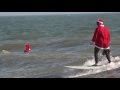 Surfin Santas Cocoa Beach, 2014