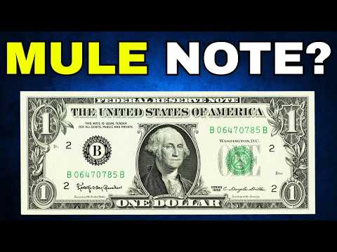 $1 Bills – Before You Spend It (episode 5)