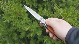 Нож Складной Ganzo G743-2-Or