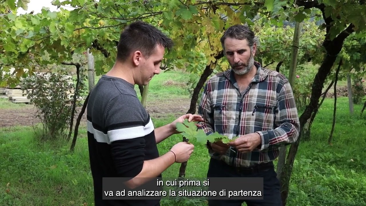 La testimonianza di Marco Mainente