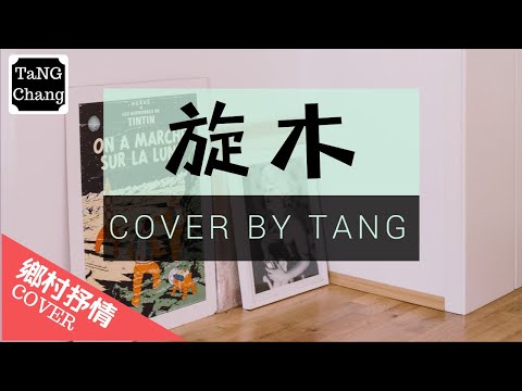 旋木 - 【TaNG COVER】王菲「奔馳的木馬，讓你忘了傷」動態歌詞MV