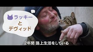 コロナ禍を愛猫とともに乗り越える9人の男たちを描いたドキュメンタリー映画『猫と、とうさん』予告編【2023年7月28日公開】