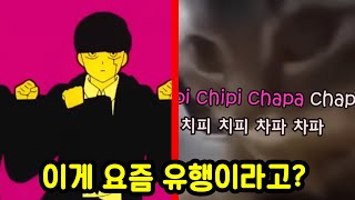 벌써 새로운 밈이 생기는 2024년ㅋㅋㅋ