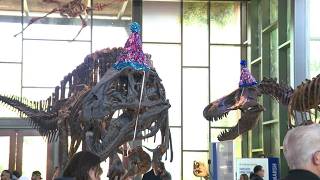 Witte Museum celebrates milestone with new exhibitions, celebration events