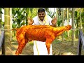 Full goat  grilled mutton recipe  whole lamb  goat barbeque  goat fry  mutton recipe  grilled