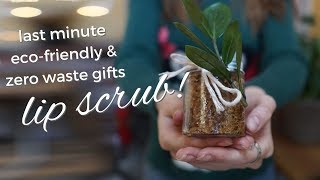 Last Minute Zero Waste Gifts - DIY Lip Exfoliator