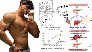 If you don't understand CARBS, you don't understand Fat Loss
