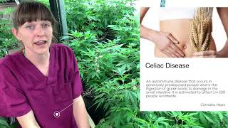 Cannabis for Pain Management, 'Inside Tucson dispensary  Saints'